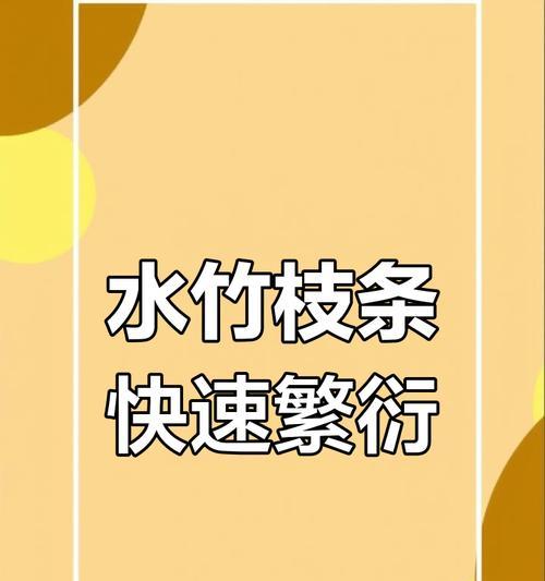 水竹繁殖的有效方式有哪些？