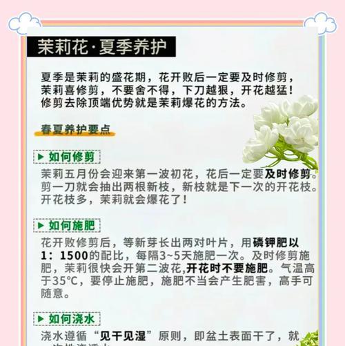 未利花的正确养植方法是什么？