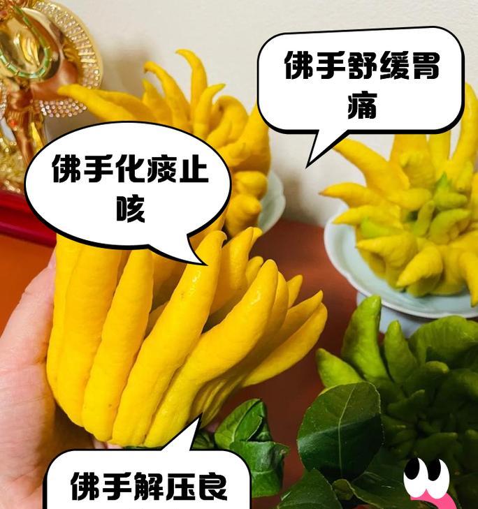 佛手有哪些品种？佛手品种的特性及种植方法是什么？