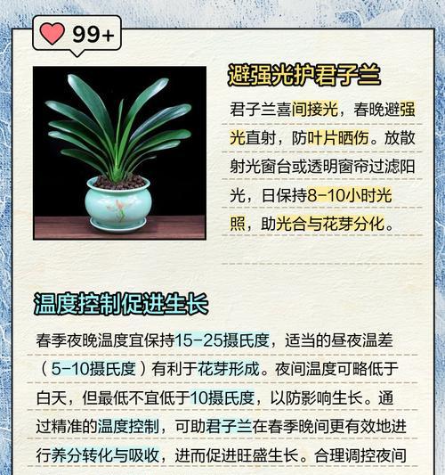室内君子兰的正确养护方法？