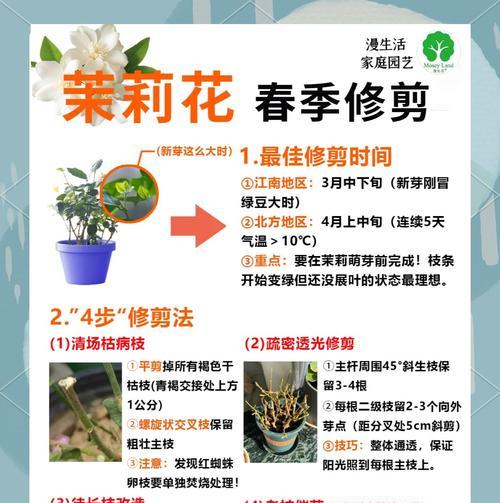 迎春花修剪的最佳时机是什么时候？
