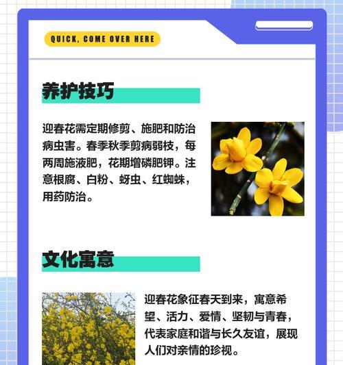 迎春花修剪的最佳时机是什么时候？