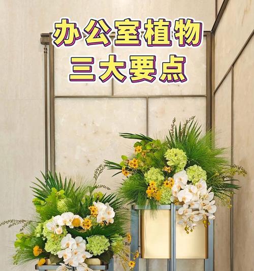 办公室栽什么花好？适合办公室环境的植物推荐及养护要点是什么？