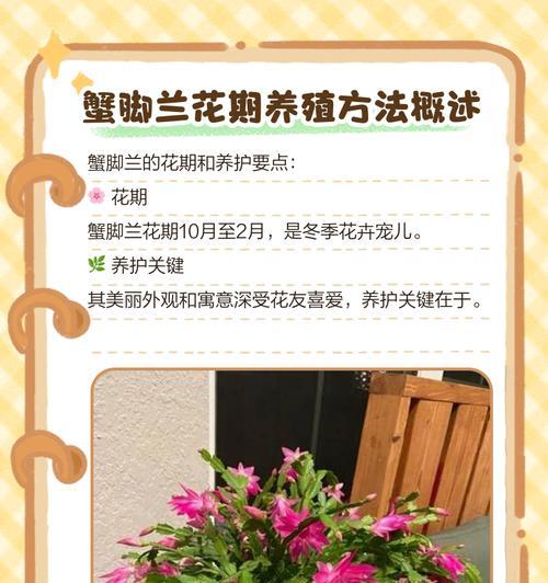 养殖的基本技巧有哪些？养殖需要注意什么？