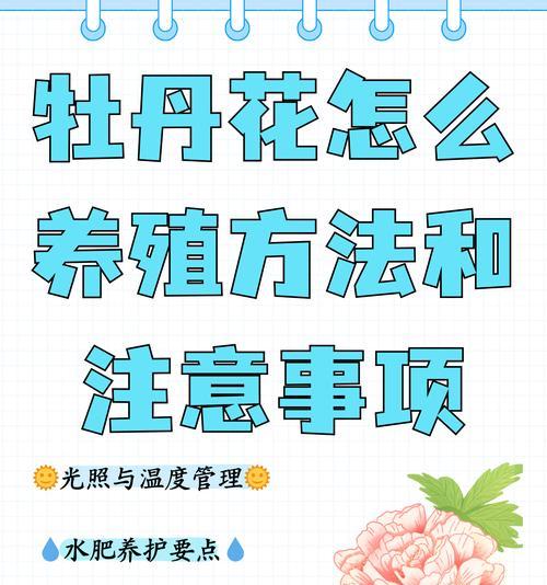 牡丹花施肥的正确方法是什么？