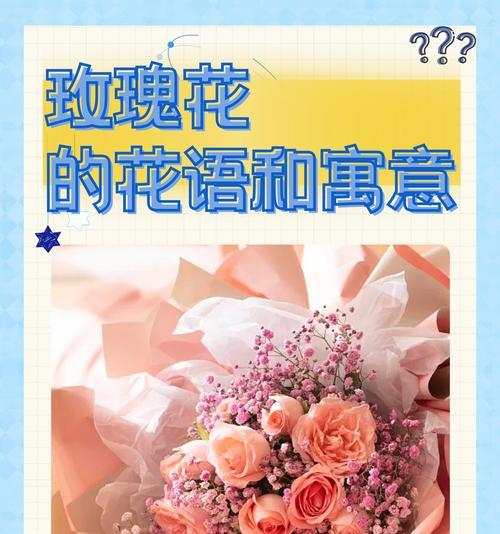 看望病人送什么花？适合探病的花卉种类和注意事项是什么？