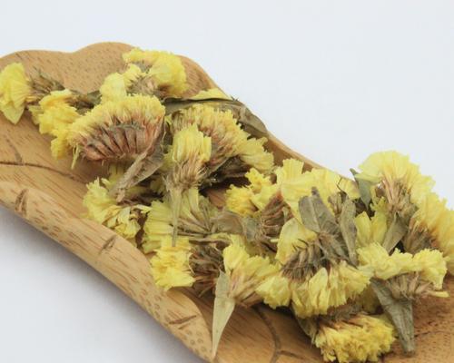迎春花有哪些品种？迎春花的种植和养护方法是什么？