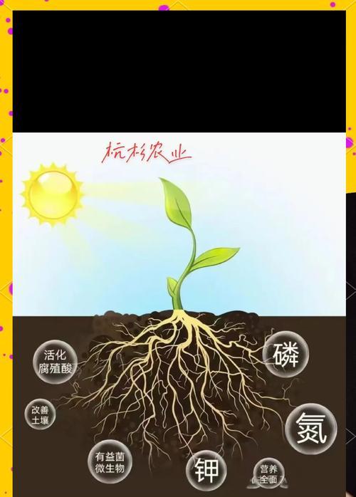 花卉施肥的最佳时机是什么时候？怎样施肥才科学？