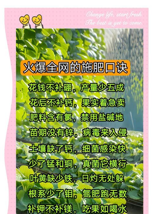 花卉施肥的最佳时机是什么时候？怎样施肥才科学？