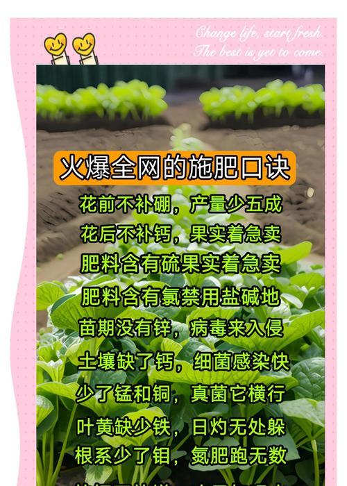 花卉施肥的最佳时机是什么时候？怎样施肥才科学？