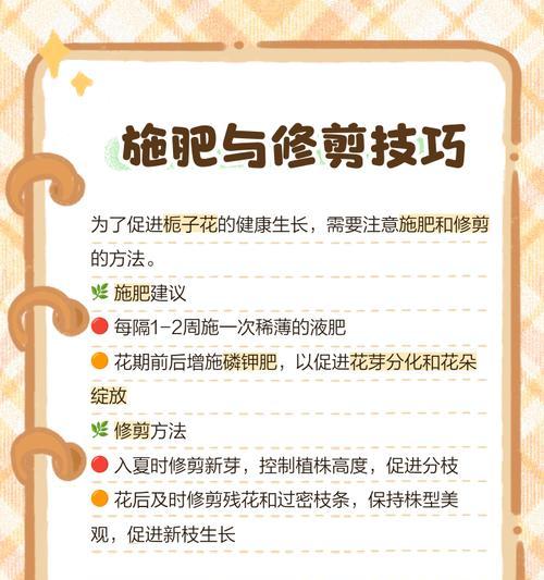 枝枝花的养殖技巧有哪些？如何保证其茁壮成长？
