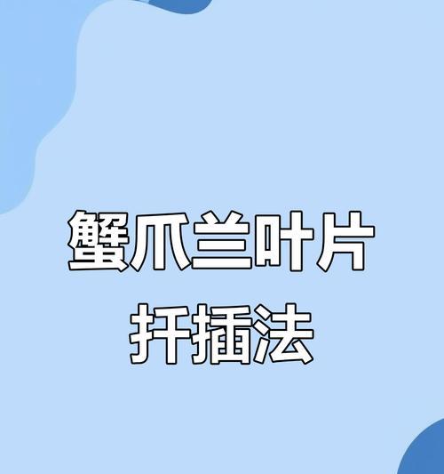 蟹爪兰扦插需要注意什么？怎样提高成功率？