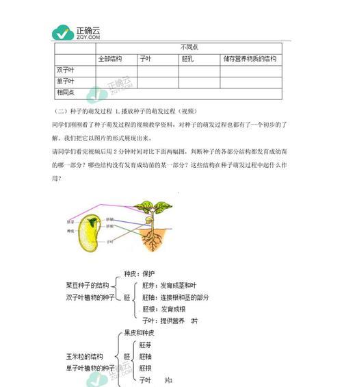 种子发芽的正确方法是什么？种子发芽有哪些常见问题？