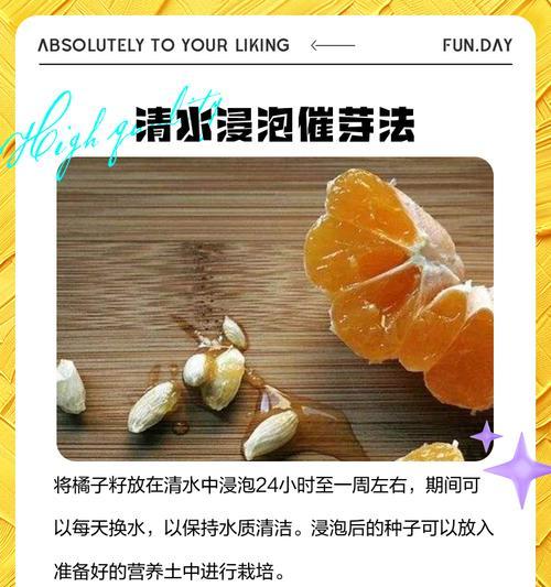 种子发芽的正确方法是什么？种子发芽有哪些常见问题？