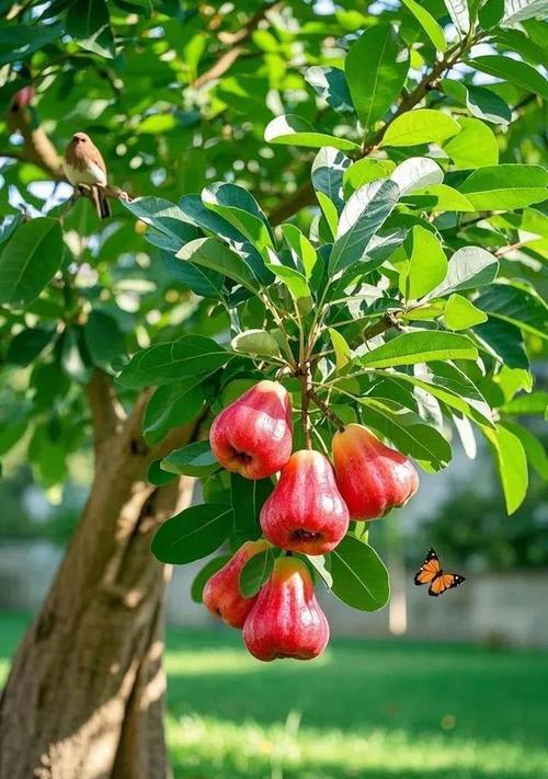 莲雾通常开什么颜色的花？莲雾花色的多样性如何？