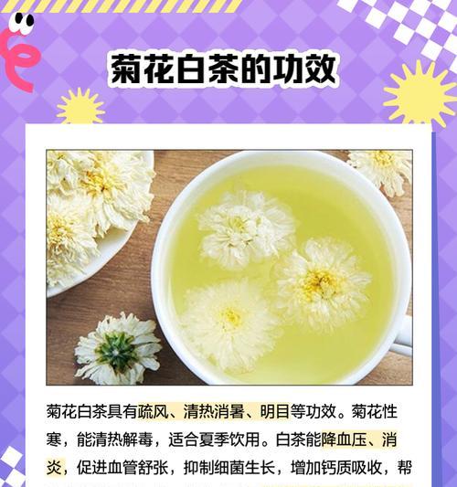 菊花的正确保养方法和注意事项是什么？