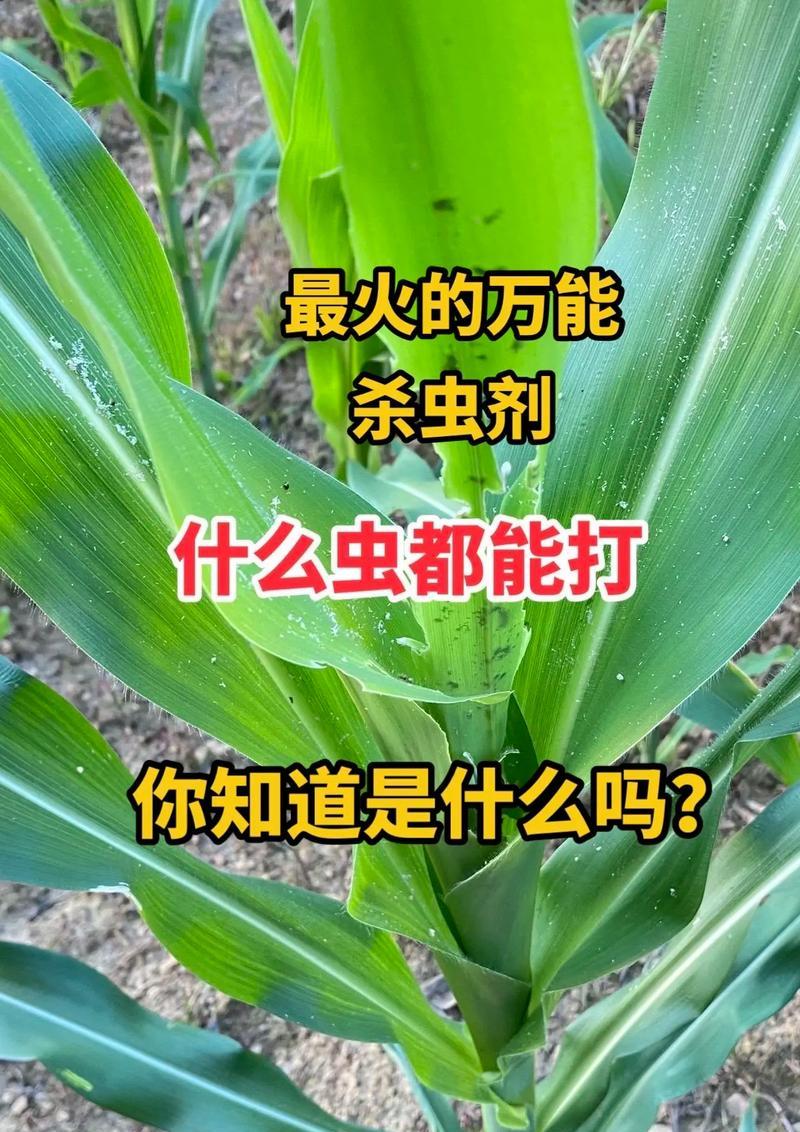 植物遭受虫害的处理方法有哪些？
