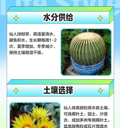 仙人球水培的方法和注意事项是什么？