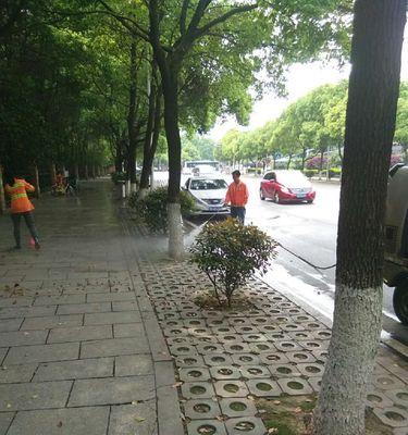 芙蓉栽培需要注意哪些事项？如何进行日常管理？