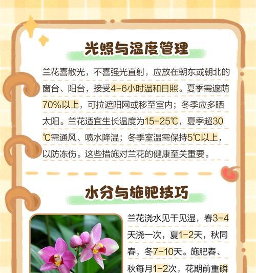 兰花的正确栽种方法是什么？怎样栽种兰花才能让它茁壮成长？