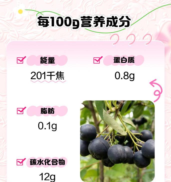 黑果花楸的种植技巧和养护要点是什么？