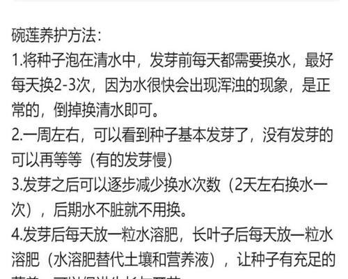碗莲种子发芽的步骤和注意事项是什么？