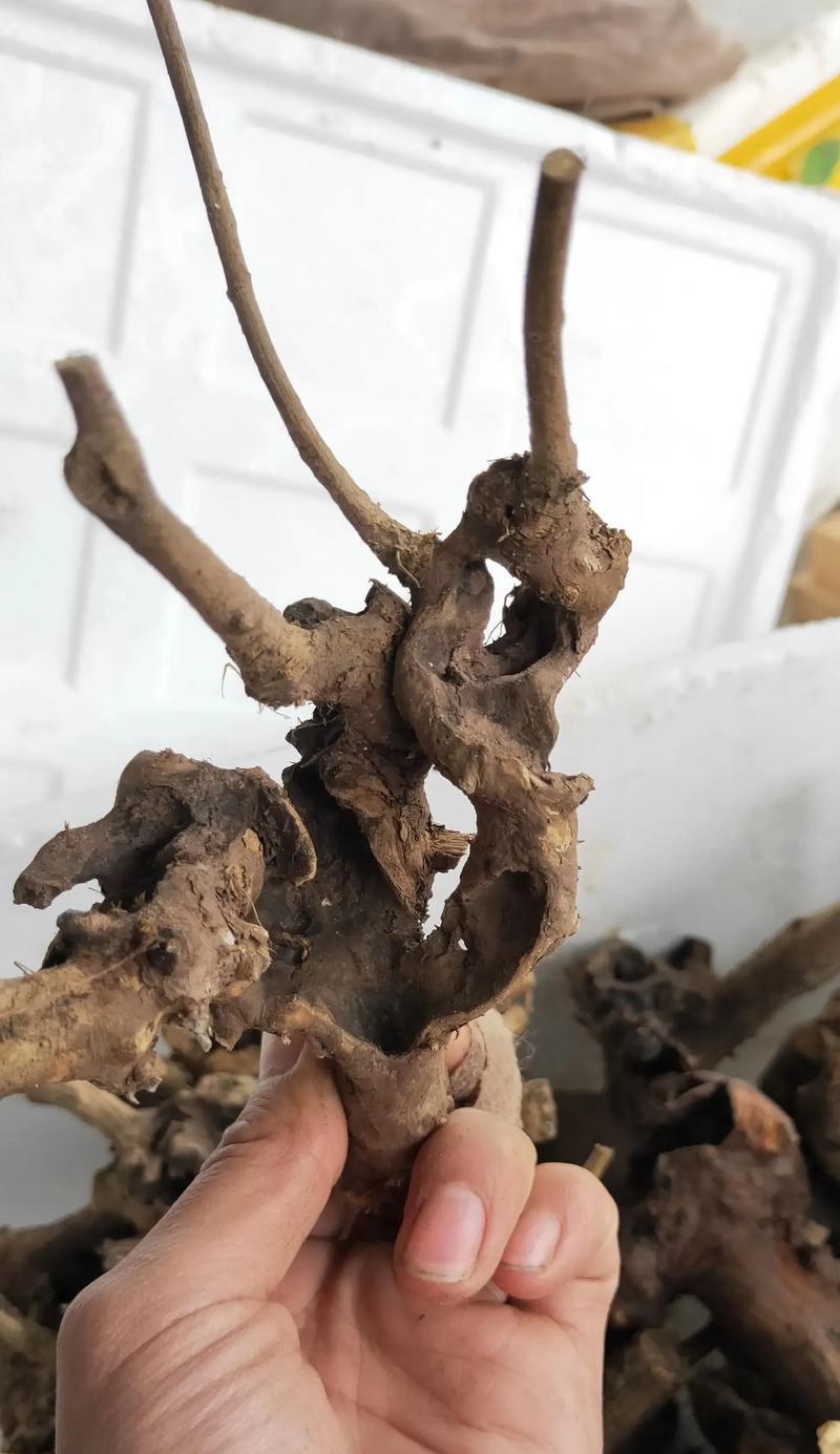 黄荆盆景修剪技巧是什么？
