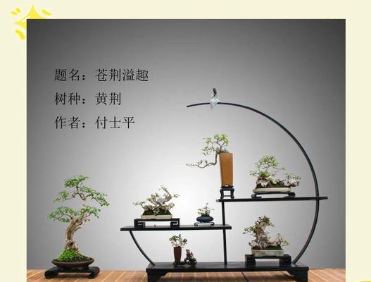 黄荆盆景修剪技巧是什么？
