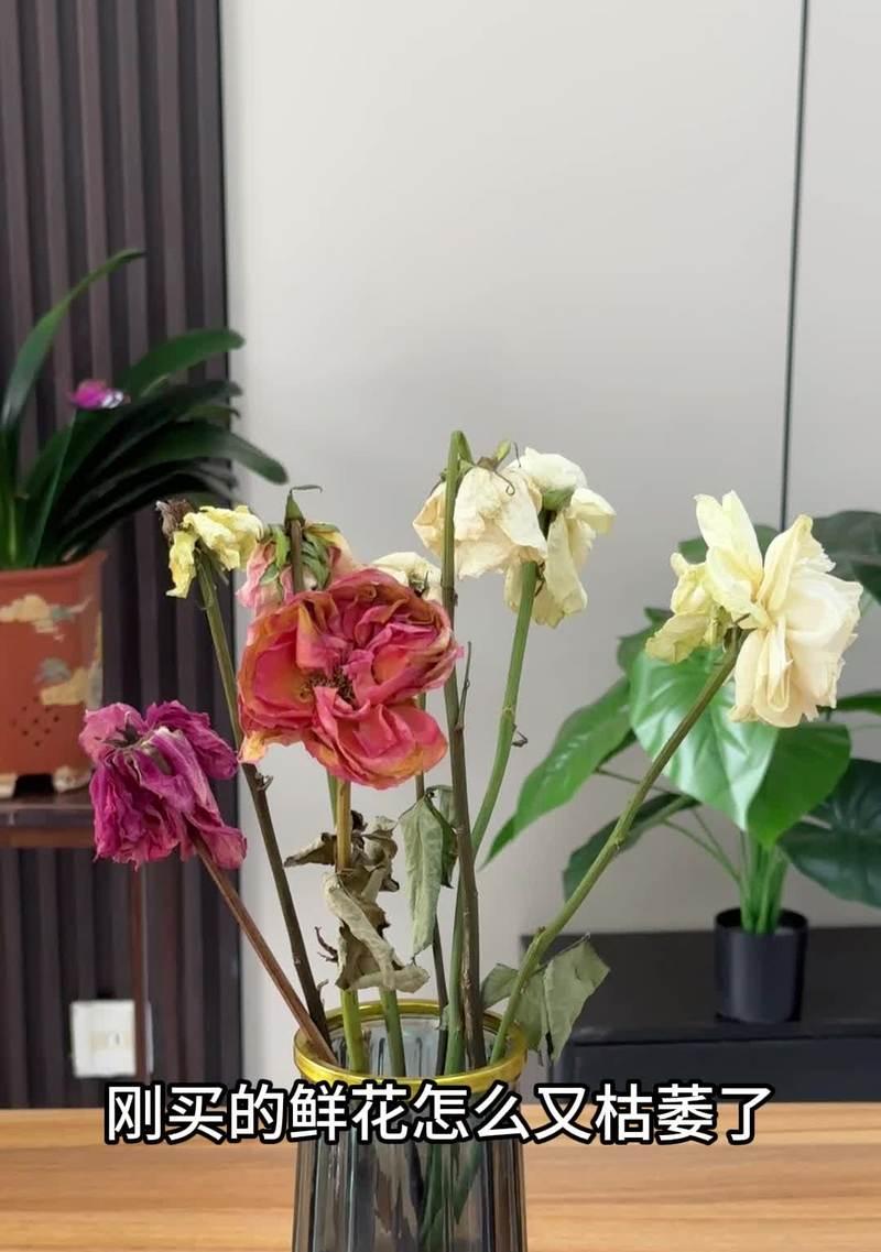 切花茉莉的养护和延长花期的方法？