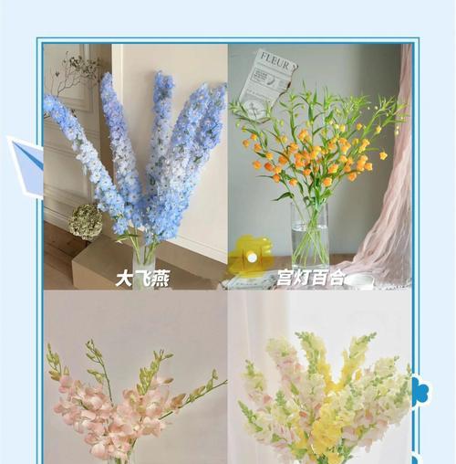 哪些花卉适合水培？水培花卉的养护技巧是什么？