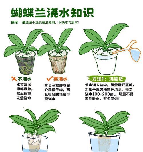 水仙花施肥的正确方法是什么？