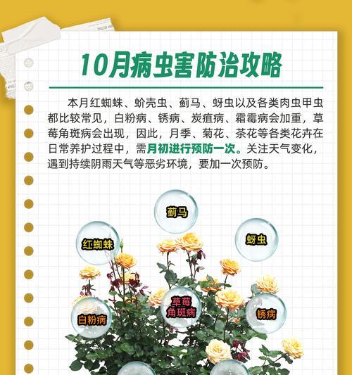 花草遇到虫害应该怎么办？