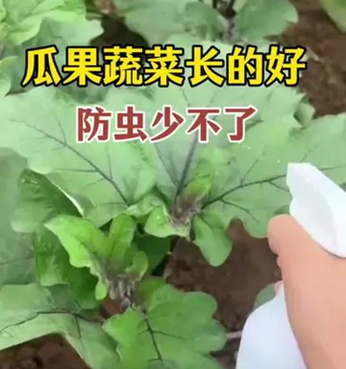 花草遇到虫害应该怎么办？