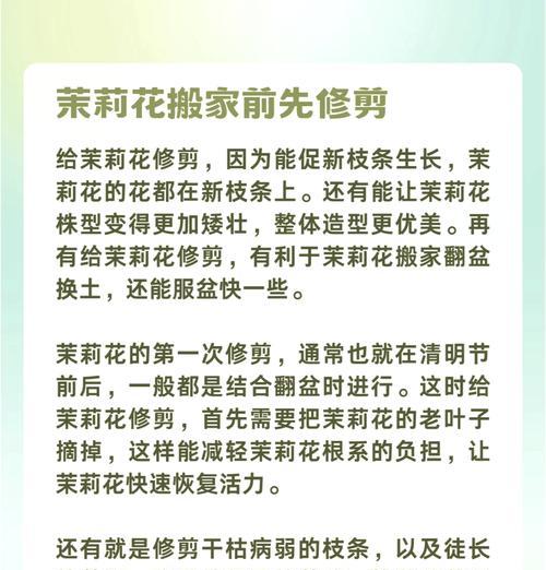 兰花移栽的最佳时机和方法是什么？