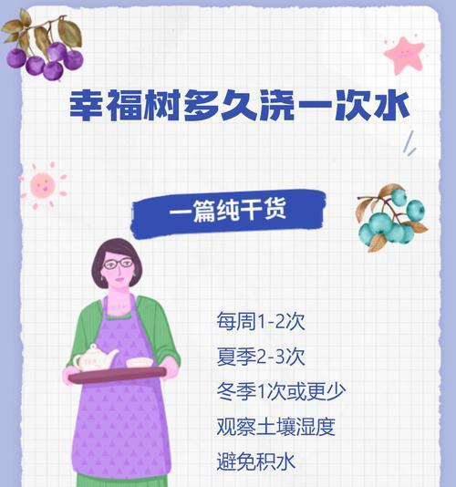 室内幸福树怎么浇水？幸福树的浇水技巧有哪些？