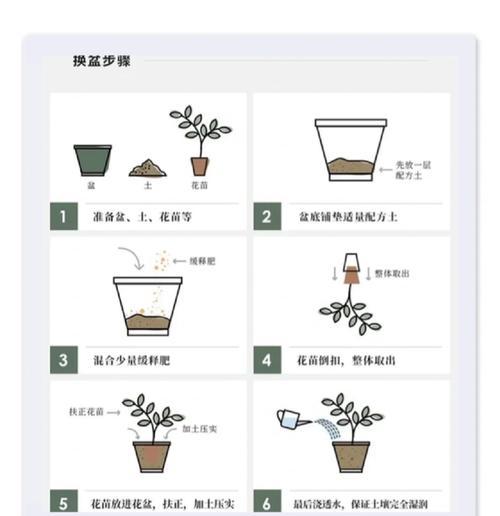 铁线莲换盆的最佳时机是什么时候？换盆步骤有哪些？