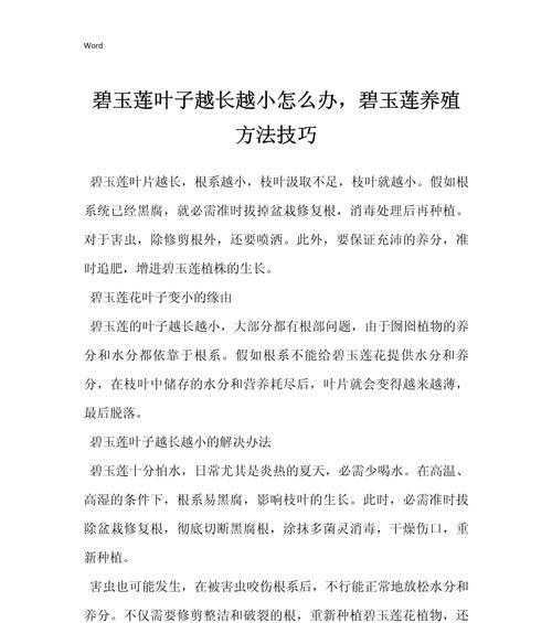 碧玉的养殖技巧有哪些？