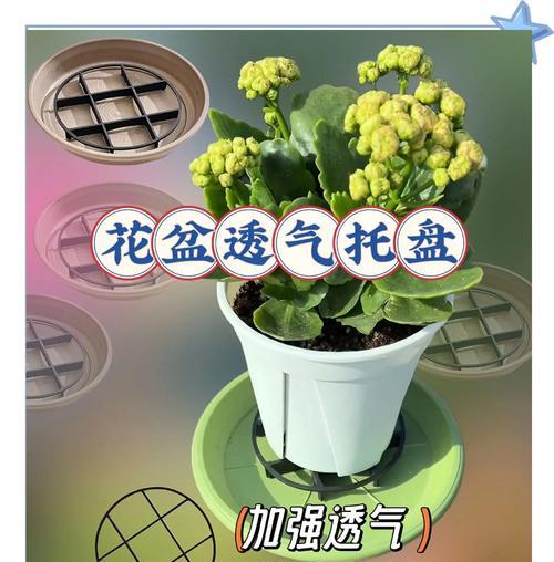 花盆透气性差怎么办？