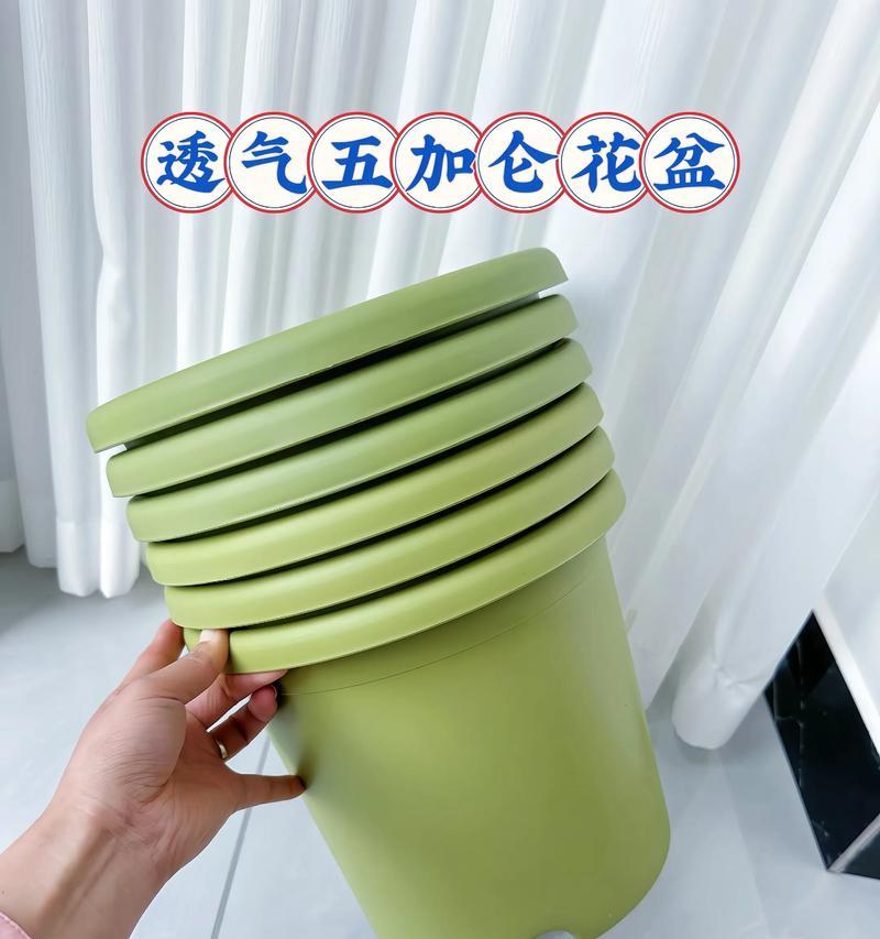 花盆透气性差怎么办？