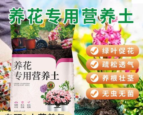 盆栽土的正确配比方法？如何配制适合不同植物的土壤？