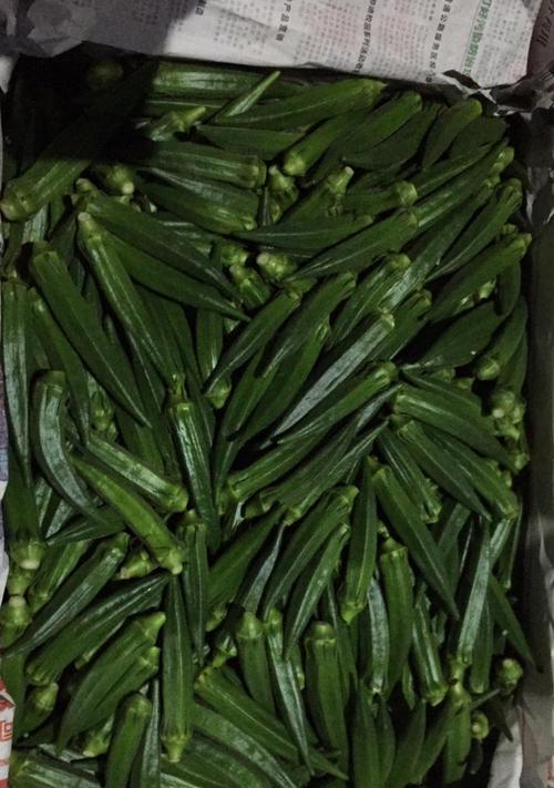 黄秋葵是什么植物？黄秋葵的营养价值和种植要点是什么？