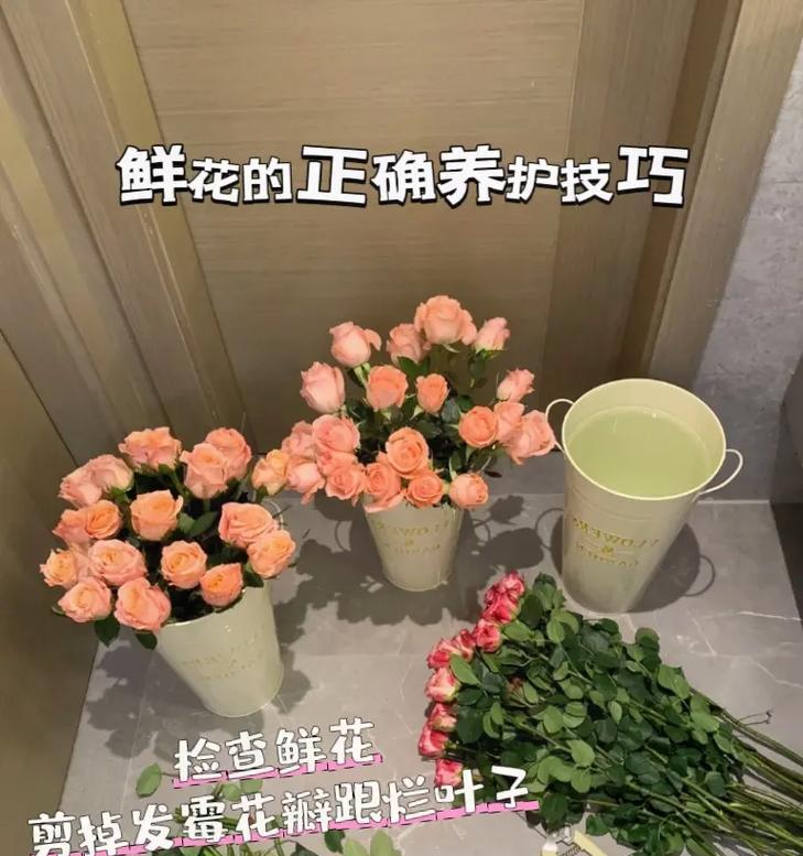 鲜花怎么养护？鲜花的正确养护方法是什么？