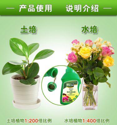 自制绿萝肥料的方法和效果如何？