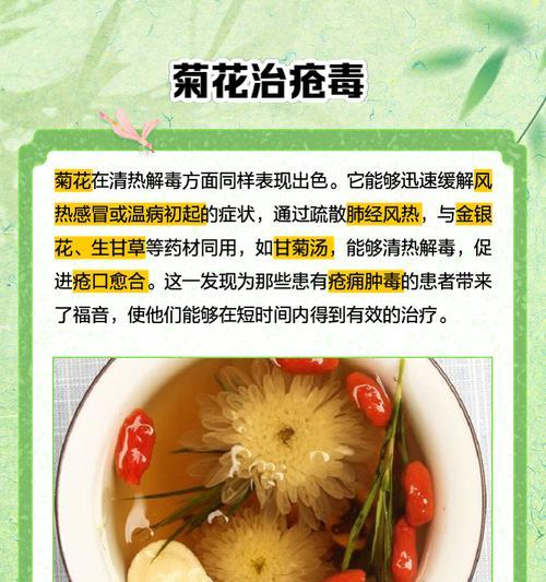 食用菊花有哪些种类？它们的食用方法和功效是什么？