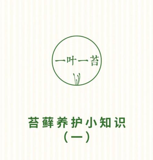 苔藓如何养殖？苔藓的养殖技巧和常见问题解答？