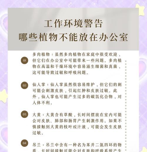 办公室绿植养护的要点有哪些？