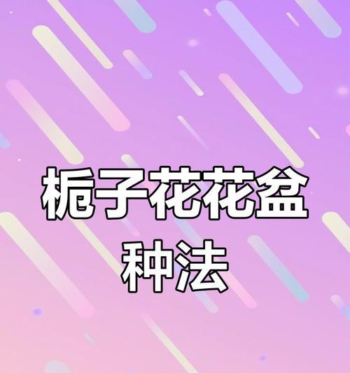 盆栽栀子花的养护要点？