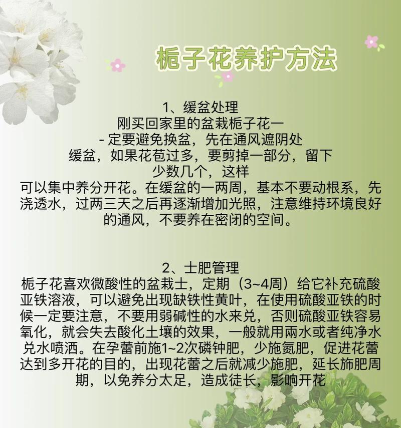 栀子花剪枝技巧有哪些？如何剪枝栀子花？
