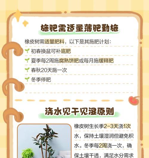 橡皮树需要什么肥料才能长得好？