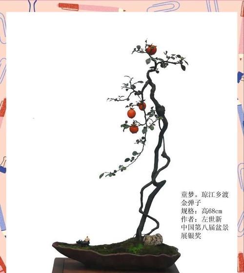 生日礼物选择盆景有哪些讲究？哪种盆景最受欢迎？